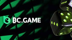 Understanding the Withdrawal Process on BCGame Understanding the Withdrawal Process on BCGame